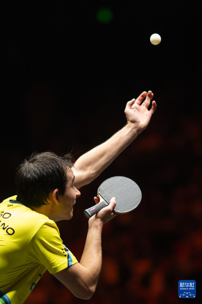 球场视野和 球场视野和